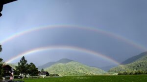 REIT投資における決算発表が市場に与える影響とは？